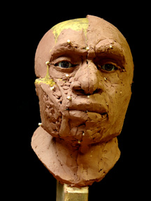 Forbes Quarry Neanderthal